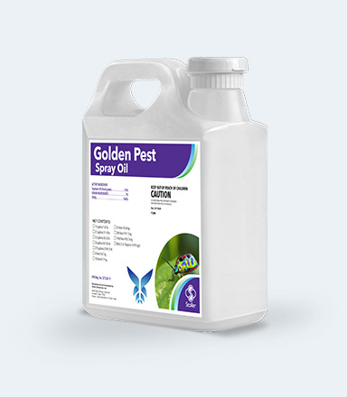 Golden Pest Spray Oil 5 gal - Chemicals